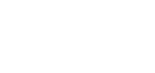TeamPluslogowhite